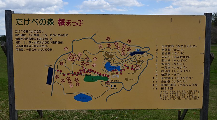 🌸 타케베 삼림 공원 (타케베노모리코엔) 이미지 4